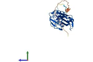 Protein Structure (PS) image for F-Box Protein 6 (FBXO6) (AA 1-295) protein (His tag) (ABIN7565167)
