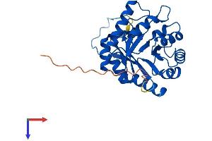 CUTC Protein (AA 1-273) (His tag)