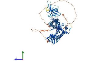 AlphaFold protein structure predicition of Mouse Recombinant Arhgap10 Protein, UniprotID Q6Y5D8