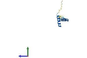 AlphaFold protein structure predicition of Human Recombinant HERV-K104 Protein, UniprotID P61576 (HERV-K104 (AA 1-105) protein (His tag))