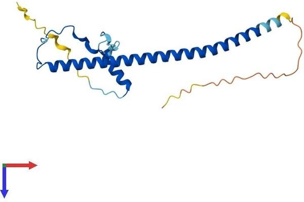PRKRIP1 Protein (AA 1-184) (His tag)