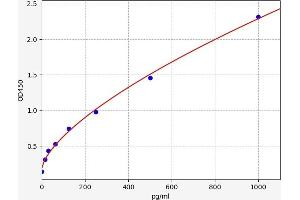 Typical standard curve (WNT2B ELISA Kit)