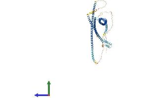 Protein Structure (PS) image for GRIP and Coiled-Coil Domain Containing 1 (GCC1) (AA 1-778) protein (His tag) (ABIN7560990)