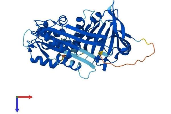 SERPINB6 Protein (AA 1-378) (His tag)