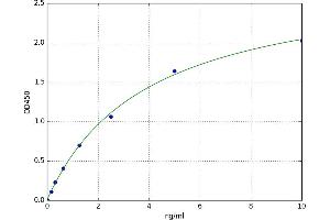 Terminal Complement Complex C5b-9 (C5b-9) ELISA Kit