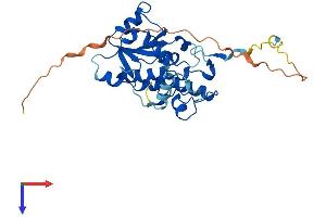 AlphaFold protein structure predicition of Mouse Recombinant Dtwd2 Protein, UniprotID Q9D0U1