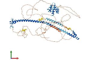 Protein Structure (PS) image for Mediterranean Fever (MEFV) (AA 1-767) protein (His tag) (ABIN7565095)
