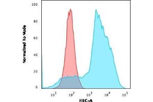 Flow Cytometric Analysis of MOLT4 cells using OX40 Mouse Monoclonal Antibody (OX40/3108) followed by goat anti-Mouse IgG-CF488 (Blue); Isotype Control (Red). (TNFRSF4 Antikörper  (AA 59-205))