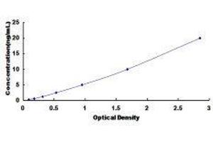 ELISA image for Histone Deacetylase 4 (HDAC4) ELISA Kit (ABIN427909)