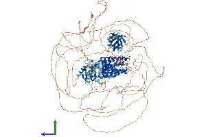 AlphaFold protein structure predicition of Human Recombinant FGD5 Protein, UniprotID Q6ZNL6