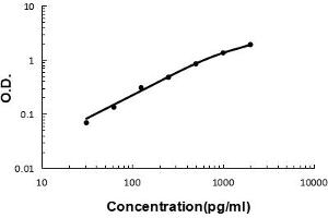 Sandwich ELISA - Recombinant human GDF-15 protein standard curve. (GDF15 Antikörper  (AA 195-308))