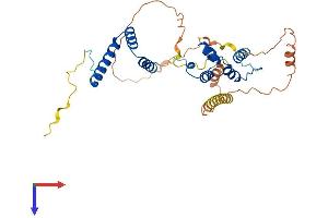 FBXO16 Protein (AA 1-334) (His tag)