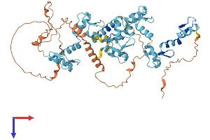 ZNF181 Protein (AA 1-571) (His tag)