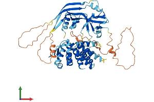 Protein Structure (PS) image for Melanomaderived Leucine Zipper Extra-Nuclear Factor (MLZE) (AA 1-508) protein (His tag) (ABIN7548223)