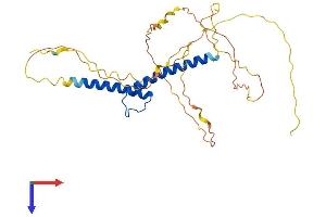 TAL1 Protein (AA 1-331) (His tag)