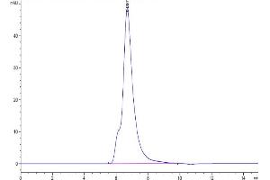 Size-exclusion chromatography-High Pressure Liquid Chromatography (SEC-HPLC) image for Interleukin 2 Receptor, gamma (IL2RG) (AA 23-254) protein (His-Avi Tag,Biotin) (ABIN7274079)