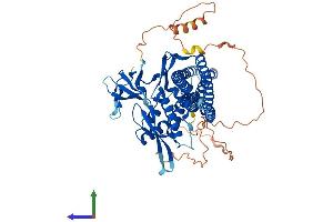 Protein Structure (PS) image for Sorting Nexin 9 (SNX9) (AA 1-595) protein (His tag) (ABIN7564784)