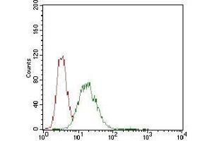 Flow cytometric analysis of Hela cells using CDX2 mouse mAb (green) and negative control (red). (CDX2 Antikörper  (AA 176-303))
