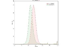 Detection of PRDM1 in Raji human Burkitt's lymphoma cell line using Polyclonal Antibody to PR Domain Containing Protein 1 (PRDM1) (PRDM1 Antikörper  (AA 29-149))