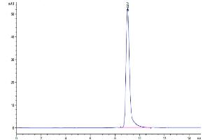 Size-exclusion chromatography-High Pressure Liquid Chromatography (SEC-HPLC) image for CD38 (AA 43-300) protein (His-Avi Tag,Biotin) (ABIN7274143)