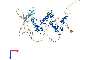 ZNF239 Protein (AA 1-458) (His tag)