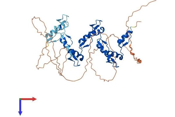 ZNF239 Protein (AA 1-458) (His tag)