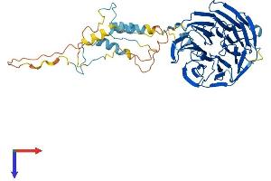 FZR1 Protein (AA 1-493) (His tag)