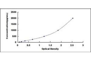 Typical standard curve (Anillin ELISA Kit)