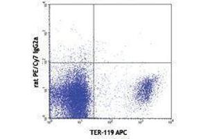 Flow Cytometry (FACS) image for anti-Transferrin Receptor (p90, CD71) (TFRC) antibody (PE-Cy7) (ABIN2659551) (Transferrin Receptor Antikörper  (PE-Cy7))