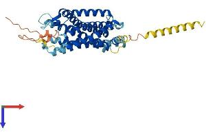 SSTR2 Protein (AA 1-369) (His tag)