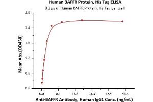 ELISA image for Tumor Necrosis Factor Receptor Superfamily, Member 13C (TNFRSF13C) (AA 7-71) (Active) protein (His tag) (ABIN7013842)