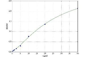 Heme Oxygenase (Decycling) 2 (HMOX2) ELISA Kit