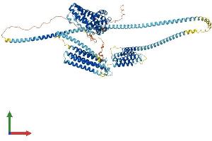 Protein Structure (PS) image for Huntingtin Interacting Protein 1 (HIP1) (AA 1-1037) protein (His tag) (ABIN7554119)
