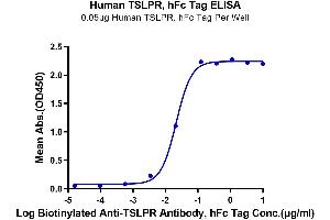 Immobilized Human TSLPR, hFc Tag at 0. (CRLF2 Protein (Fc Tag))
