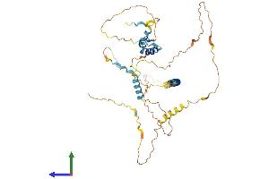 AlphaFold protein structure predicition of Human Recombinant ZC2HC1C Protein, UniprotID Q53FD0