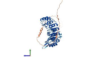 Protein Structure (PS) image for F-Box and Leucine-Rich Repeat Protein 16 (FBXL16) (AA 1-479) protein (His tag) (ABIN7561980)