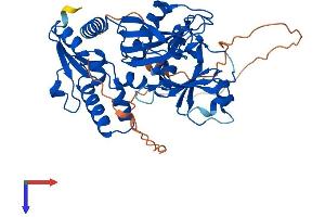 ITPK1 Protein (AA 1-419) (His tag)