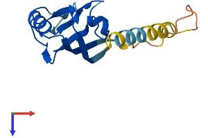 SYNJ2BP Protein (AA 1-145) (His tag)