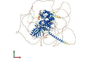 AlphaFold protein structure predicition of Mouse Recombinant Mtmr3 Protein, UniprotID Q8K296 (MTMR3 Protein (AA 1-1196) (His tag))
