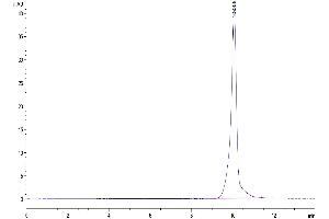 Size-exclusion chromatography-High Pressure Liquid Chromatography (SEC-HPLC) image for BMP and Activin Membrane-Bound Inhibitor Homolog (BAMBI) (AA 27-152) protein (Fc Tag) (ABIN7273918)