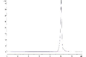 The purity of Human BAMBI is greater than 95 % as determined by SEC-HPLC. (BAMBI Protein (AA 27-152) (Fc Tag))
