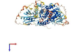 MTMR11 Protein (AA 1-709) (His tag)