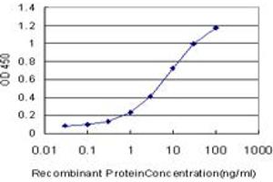 Detection limit for recombinant GST tagged GCM1 is approximately 0. (GCM1 Antikörper  (AA 108-166))