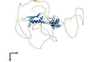 MEX3B Protein (AA 1-601) (His tag)