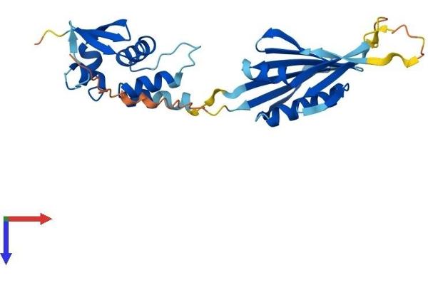 KCNRG Protein (AA 1-272) (His tag)