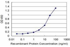 Detection limit for recombinant GST tagged SNAI1 is approximately 0. (SNAIL Antikörper  (AA 121-230))