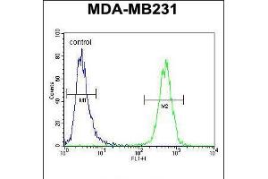 Flow cytometric analysis of MDA-MB231 cells (right histogram) compared to a negative control cell (left histogram). (HHLA2 Antikörper  (N-Term))