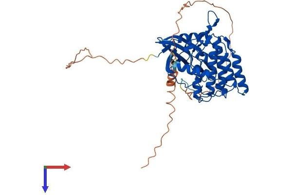 CSNK1G3 Protein (AA 1-424) (His tag)