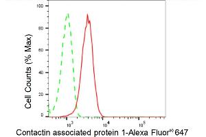 Flow cytometric analysis of Contactin associated protein 1 expression in HepG2 cells using Contactin associated protein 1 antibody (ABIN7798148), 1:2,000). (Rekombinanter CNTNAP1 Antikörper)