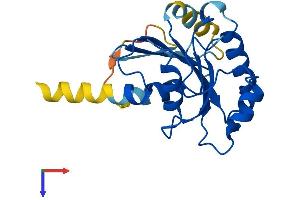 SAR1B Protein (AA 1-198) (His tag)